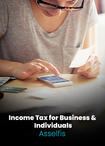 income-tax-for-business-e-individuals-asselfis